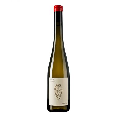 Wachau Riesling Amphora 2019 Domäne Wachau