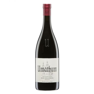 Burgenland 'Ried Hallebühl' 2019 Umathum