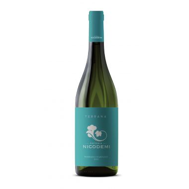 Trebbiano d'Abruzzo 'Terrana' 2022 Nicodemi