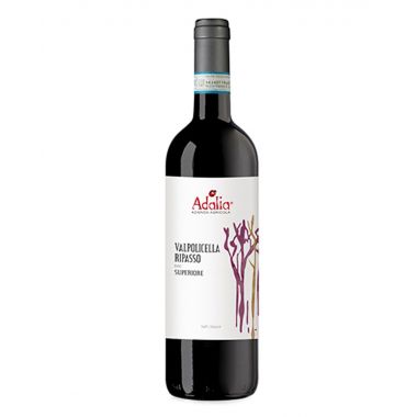 Valpolicella Ripasso 'Balt' 2019 Adalia