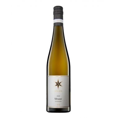 Pfalz Silvaner Feinherb 2023 Stern