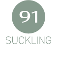 review_suckling_91