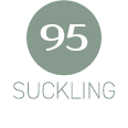 review_suckling_95